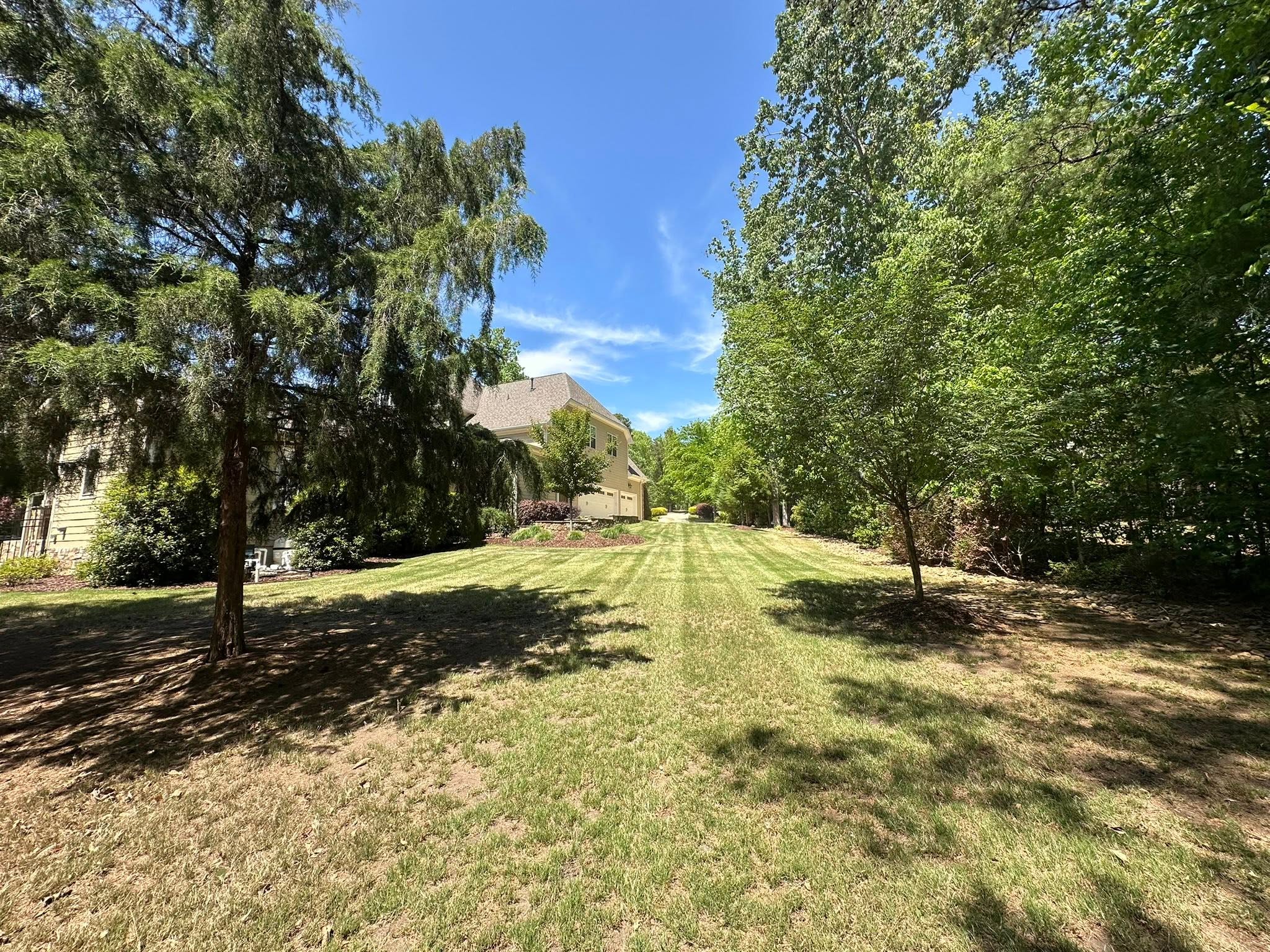 Well-maintained backyard lawn