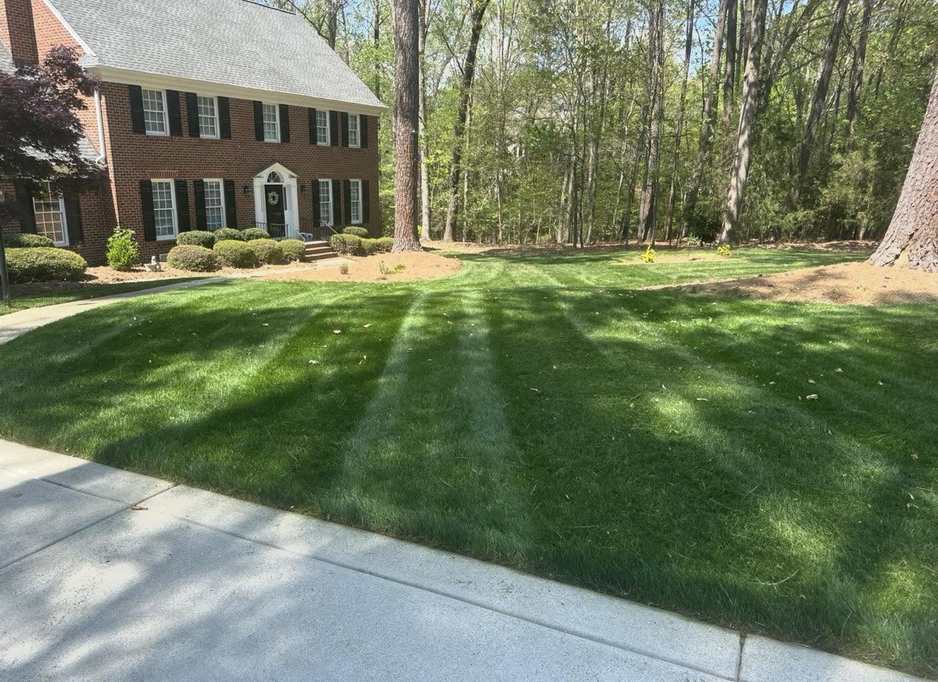 Beautifully maintained front yard